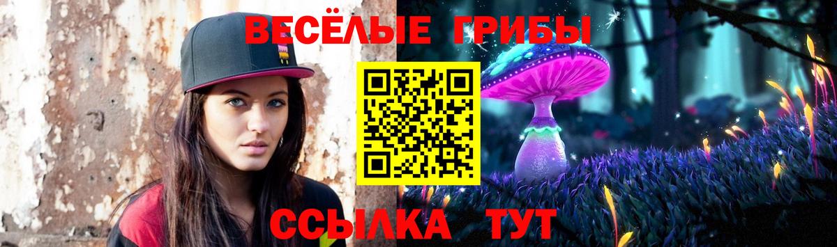 Отрадный  Галлюциногенные грибы Psilocybine cubensis  Вход с VPN 
